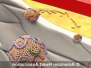 cholesterol illustration